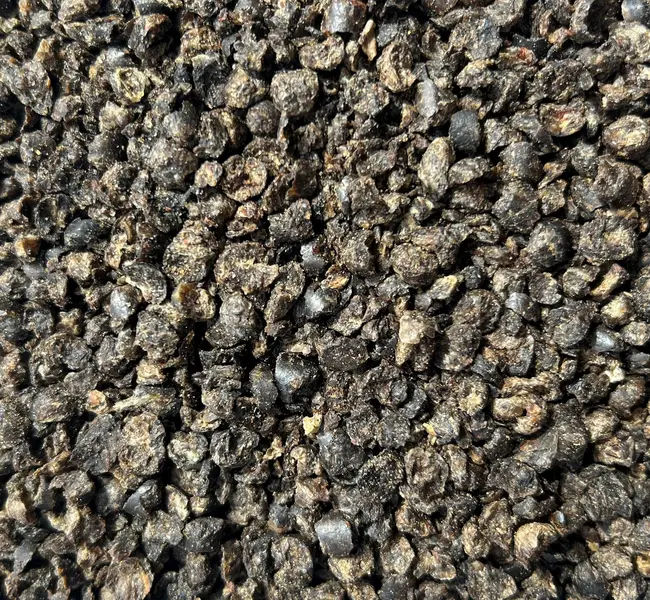 Beet Pulp with Soybean Oil 50lb at S.W. Collins Co. | Animal Feed