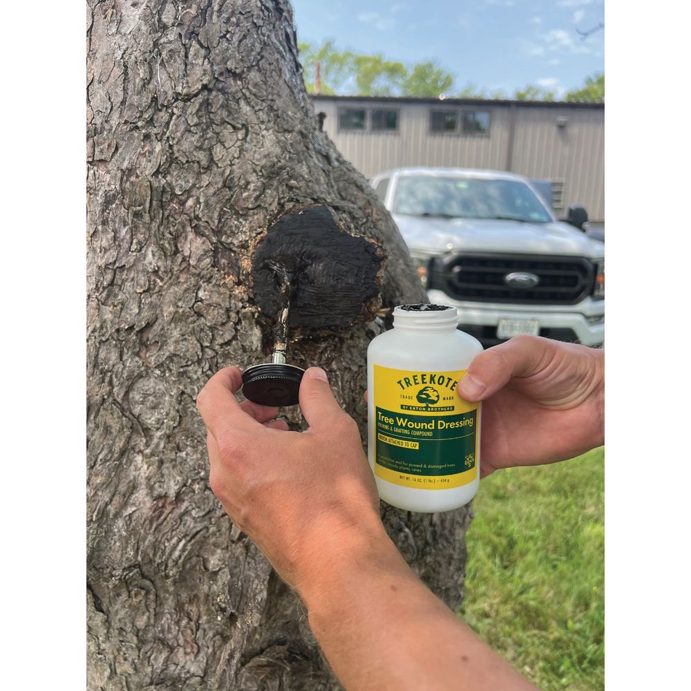tree wound dressing Treekote 12 Oz. Aerosol Spray Tree Wound Dressing