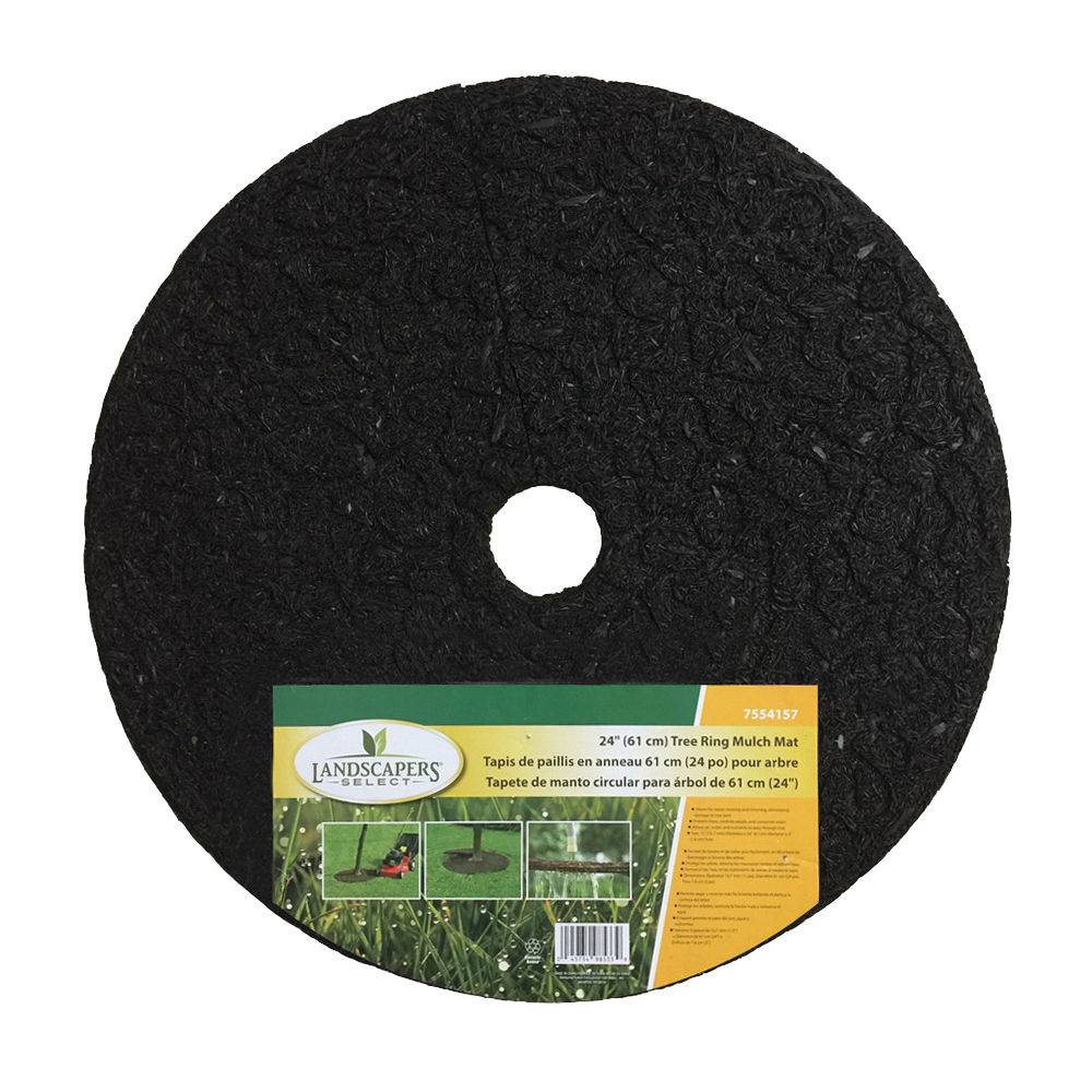 Landscape Tree Ring | Decorative Landscaping
