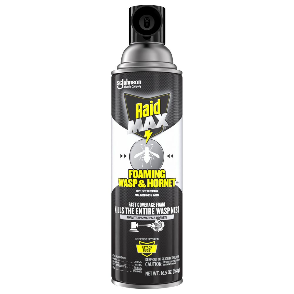 Spray Raid Wasp & Hornt 16.5 oz. at Hill's Ace Hardware & Lumber