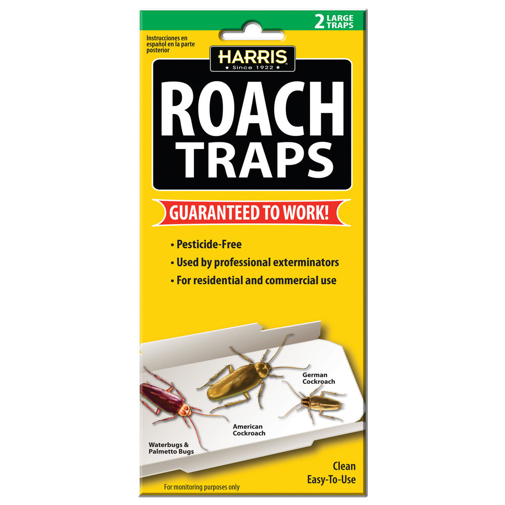 Roach Traps 2 Pack at Hill's Ace Hardware & Lumber | Insect Baits