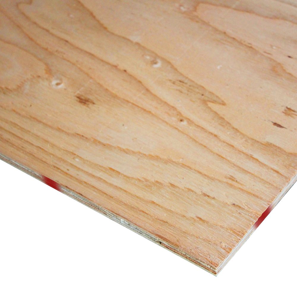Shop 1/2"x4'x10' CDX Plywood at DB&S Lumber and Home Improvement CDX