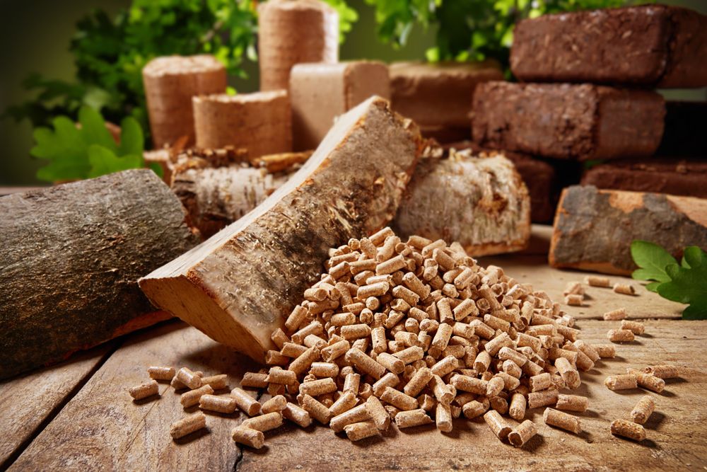 Wood Pellets/Logs & Propane Fireplaces & Stoves