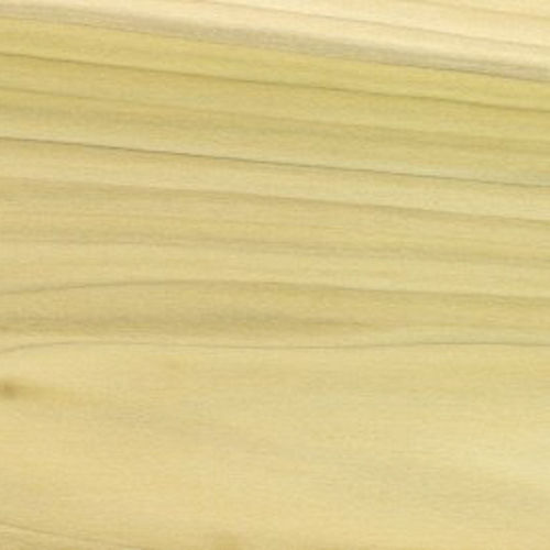 Poplar Lumber Lumber