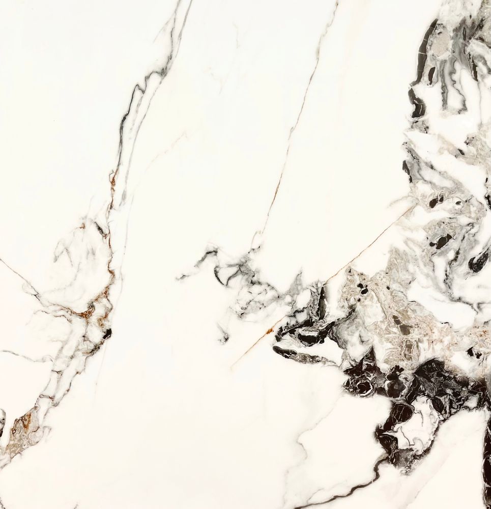 Shop 12x24" Polished Porcelain Tile Arabescato Noce (Price Per