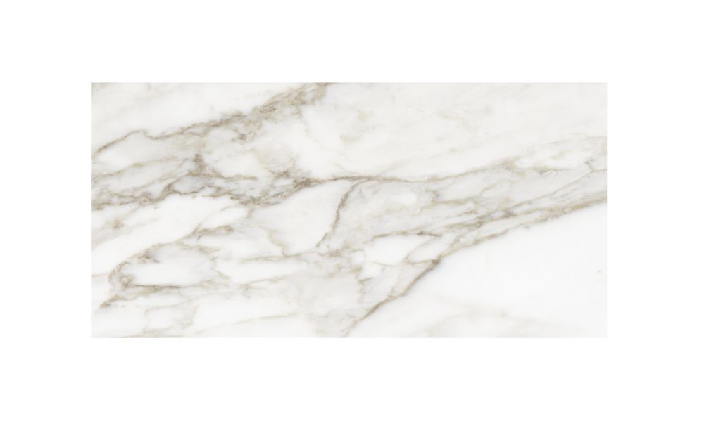 Shop 12x24" La Marca Polished Porcelain Tile Calacatta Paonazzo