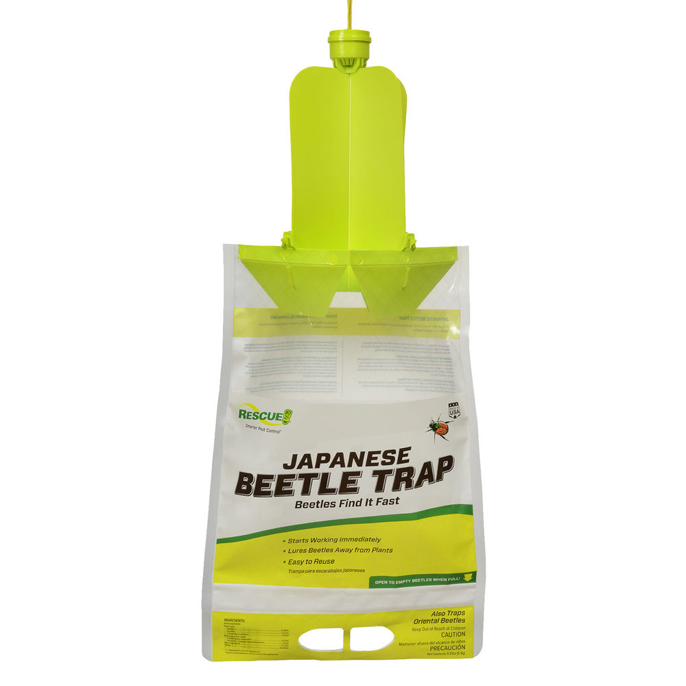 Japanese Beetle Trap at Hill's Ace Hardware & Lumber | Insect