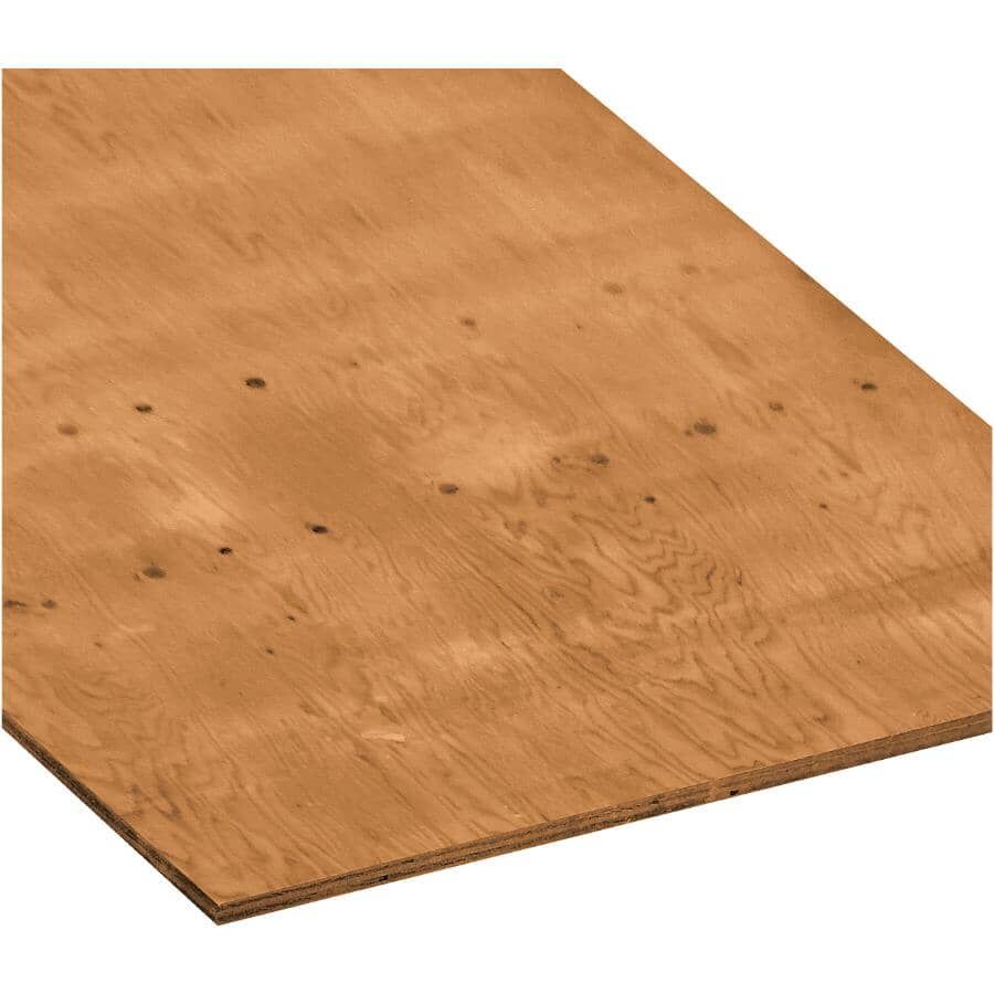 RevolutionPly 5Mm x 4-ft x 8-ft Poplar Sanded Plywood in the Plywood &  Sheathing department at