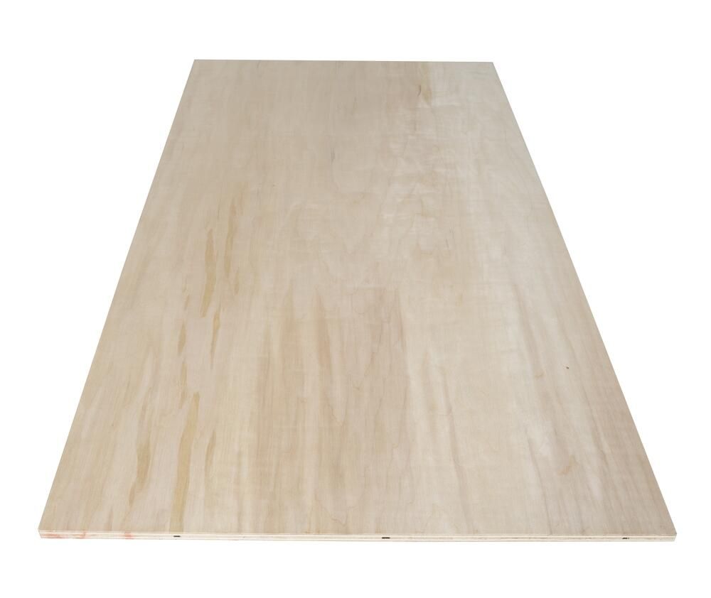 Shop 1/4" 2x4 ACX Plywood at Ashby Lumber AC