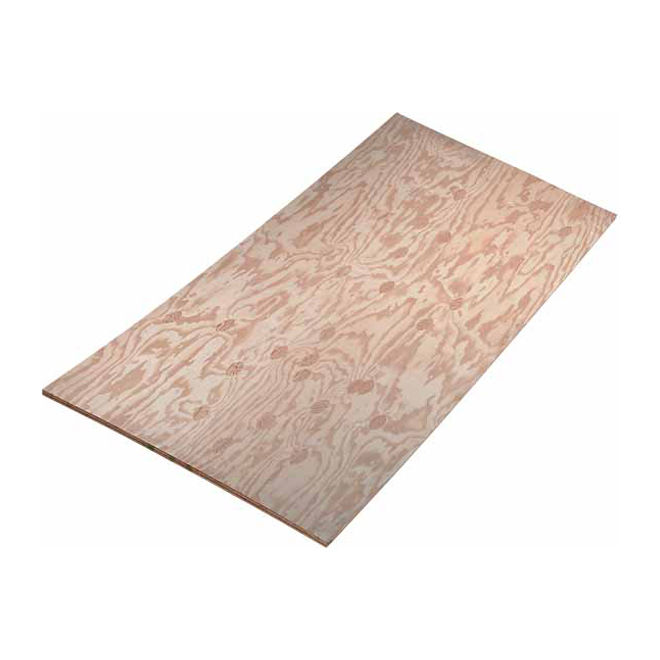 Shop 4'x8'x1/2" PLYWOOD AC at Framing Square Lumber Company CD Plywoods