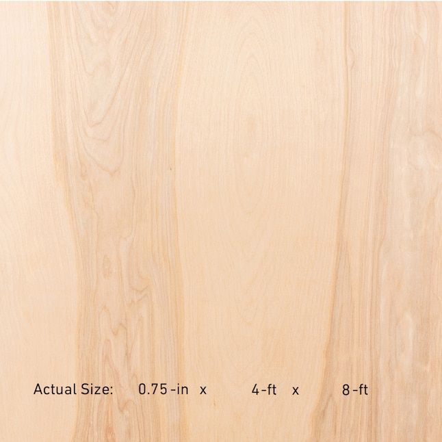 Shop Plywood 3/4" 4'x 8' White Birch C2 Grade C Face, 2 Back, WPC