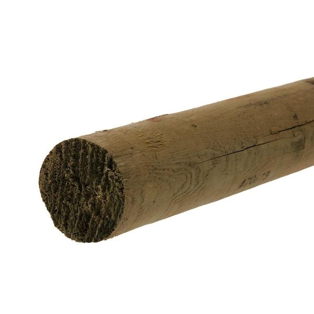 Peeler Pole 6