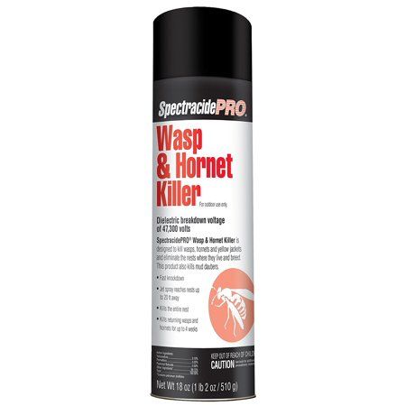 Spectracide Wasp & Hornet Killer