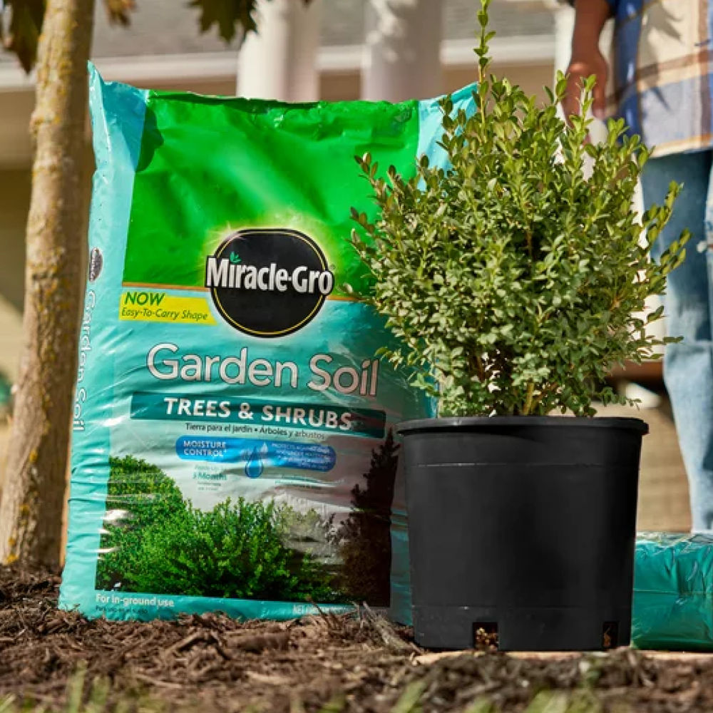 Garden Soil, Tree & Shrub - Thumbnail 4