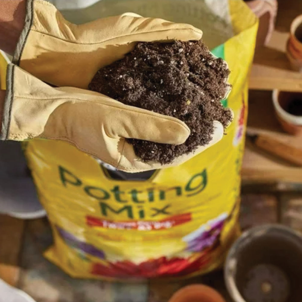 Miracle Gro All Purpose Potting Mix - 16 qt pouch