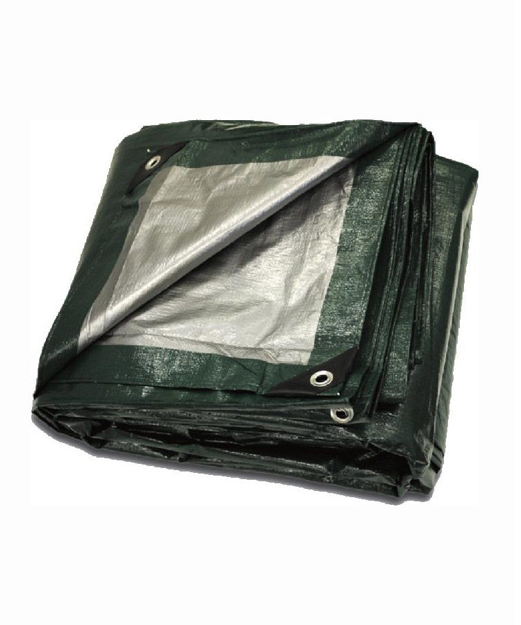 Green/Silver Tarp 30 x 40 8Mil at Cowls Building Supply
