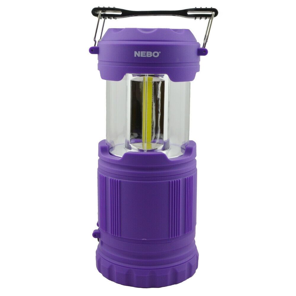 Nebo Poppy Lantern Purple at Kelseyville Lumber & Supply Co Inc