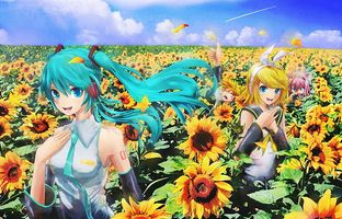 HD-wallpaper-sunflower-patch-cg-nice-gold-aqua-flowers-anime-girl-kagamine-len-art-twintail-singer-aqua-eyes-headset-hatsune-digital-patch-white-idol-artistic-hatsune-miku-tie-headphones-beautiful_UhA1Osbh9.jpg