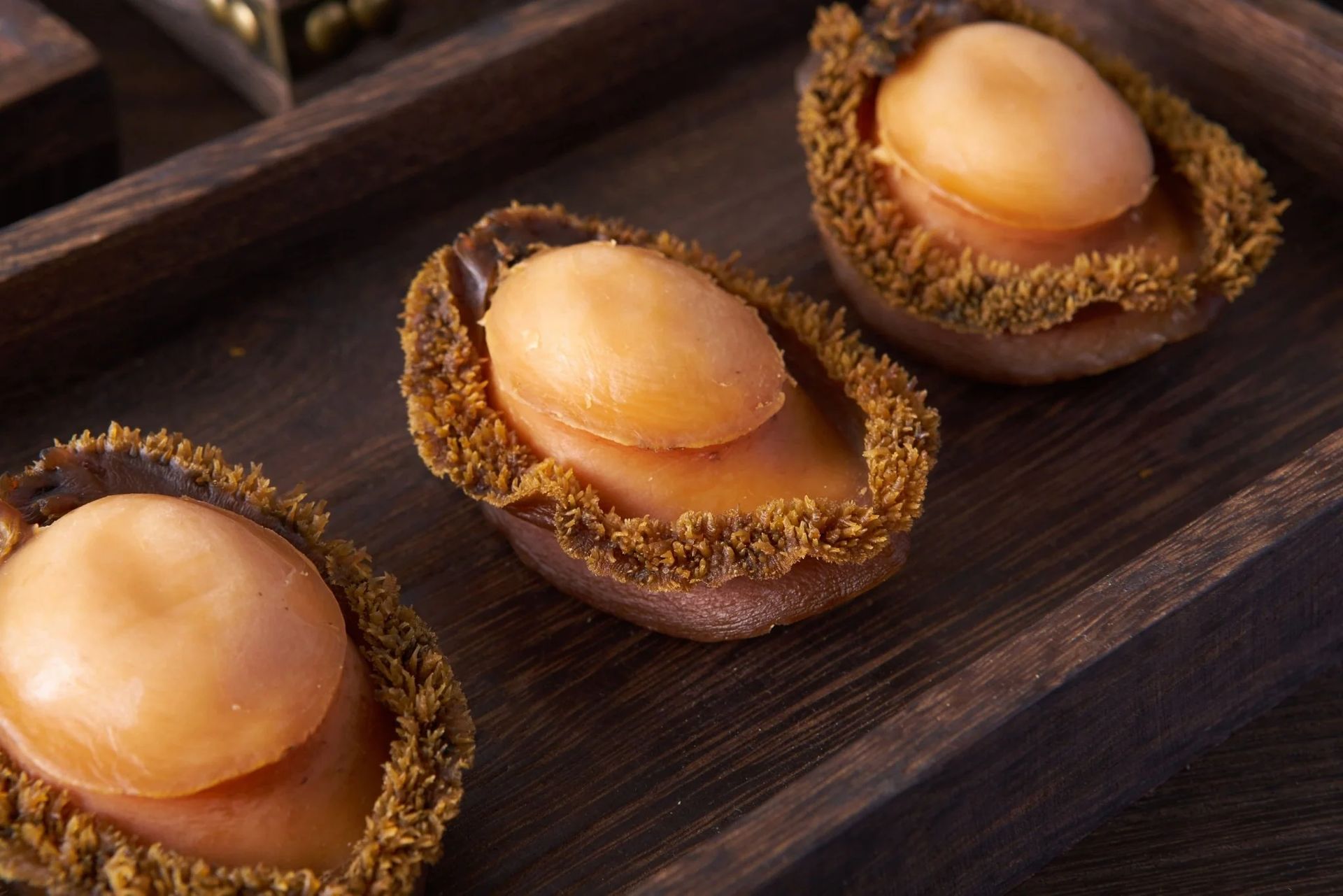 澳洲野生鮑魚特寫