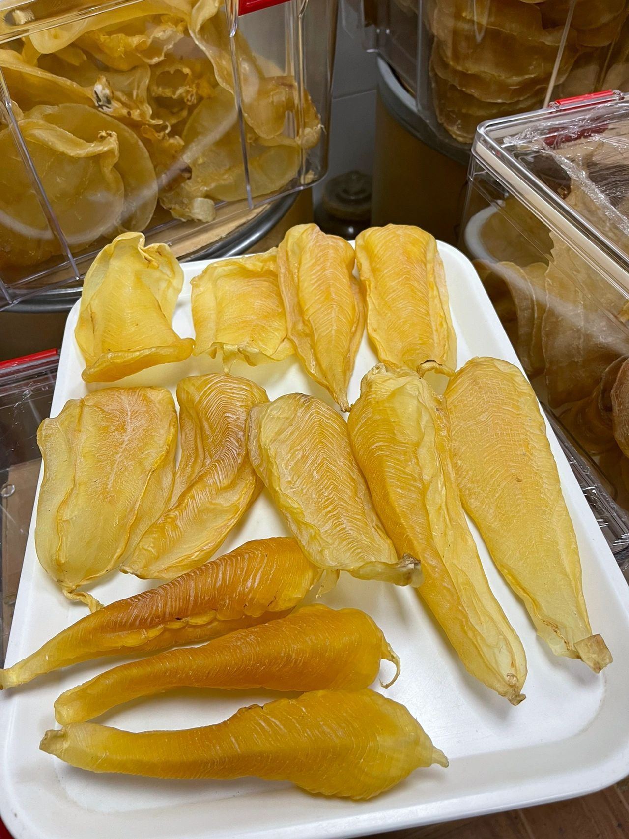 頂級花膠品種層級與回收定位示意圖