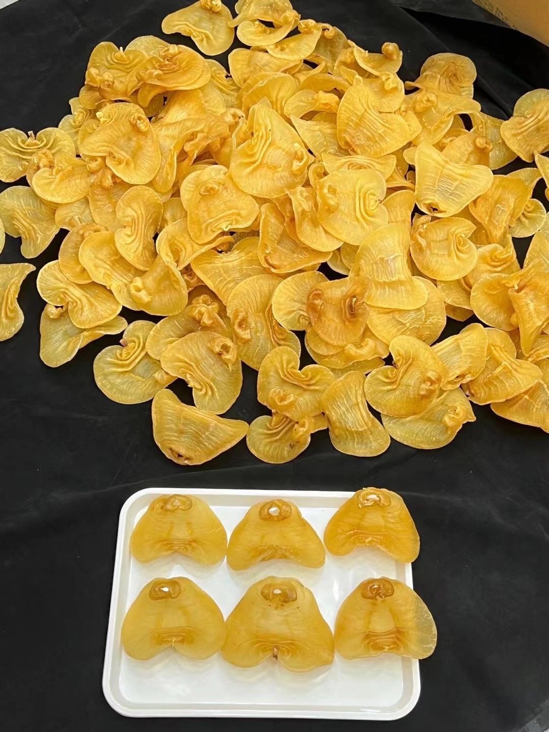花膠與乾鮑常見致命瑕疵檢查示意圖