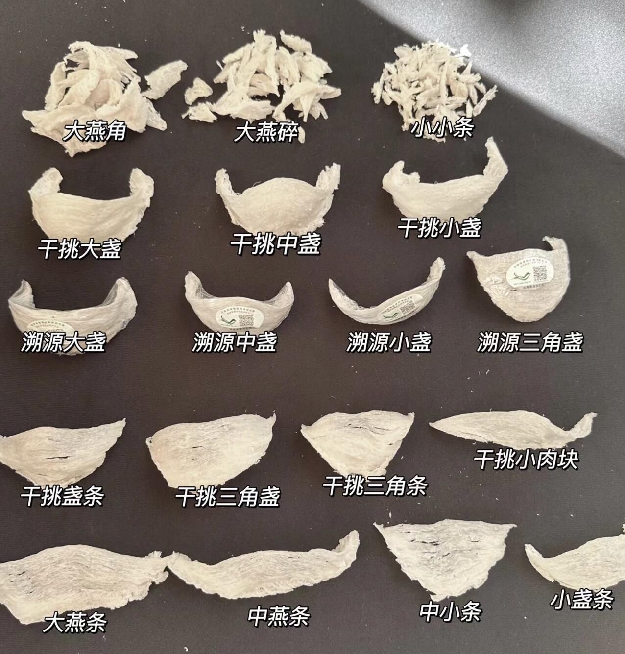 燕盞燕條燕角燕碎形態比較示意圖