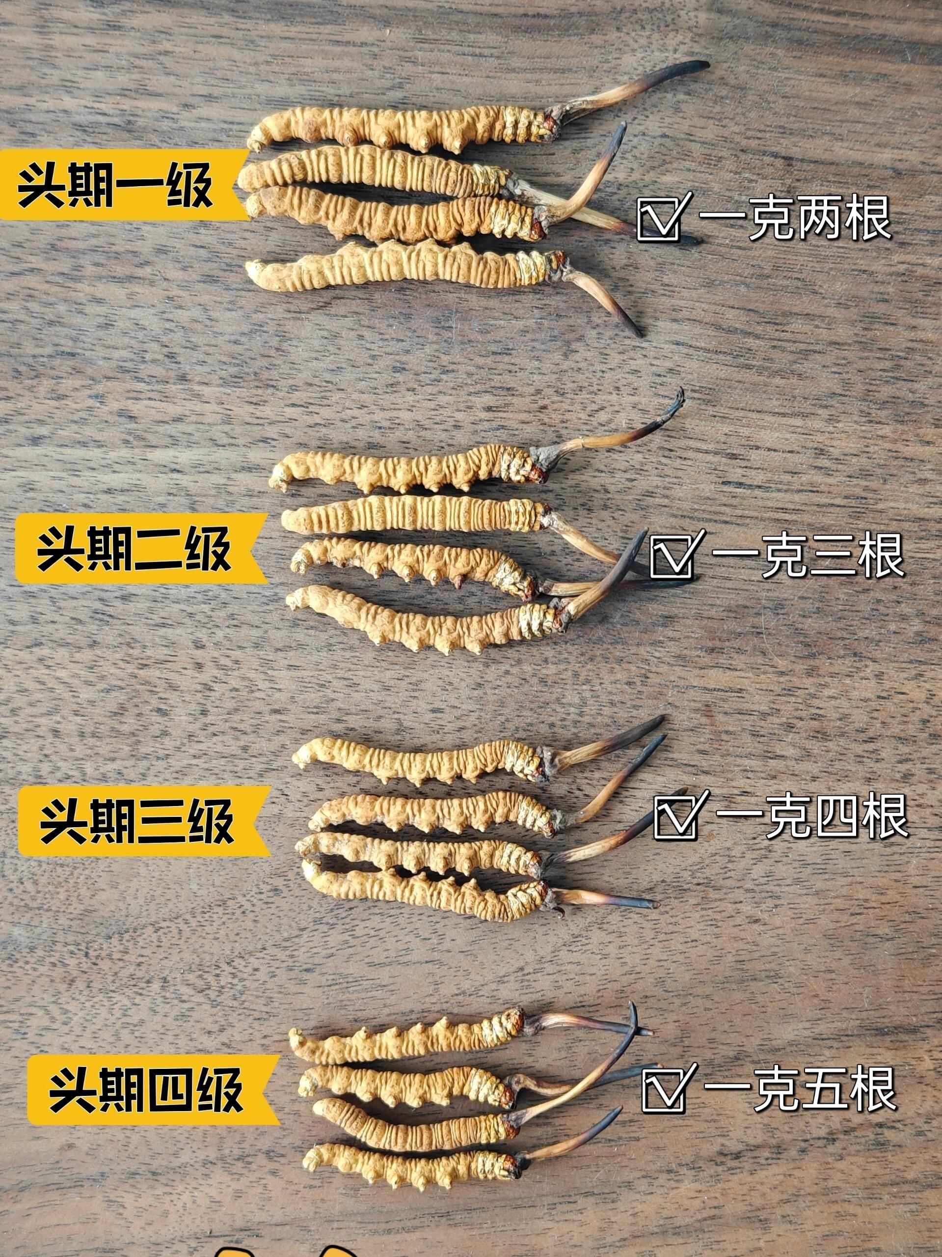 冬蟲夏草回收分級與估價清單封面圖