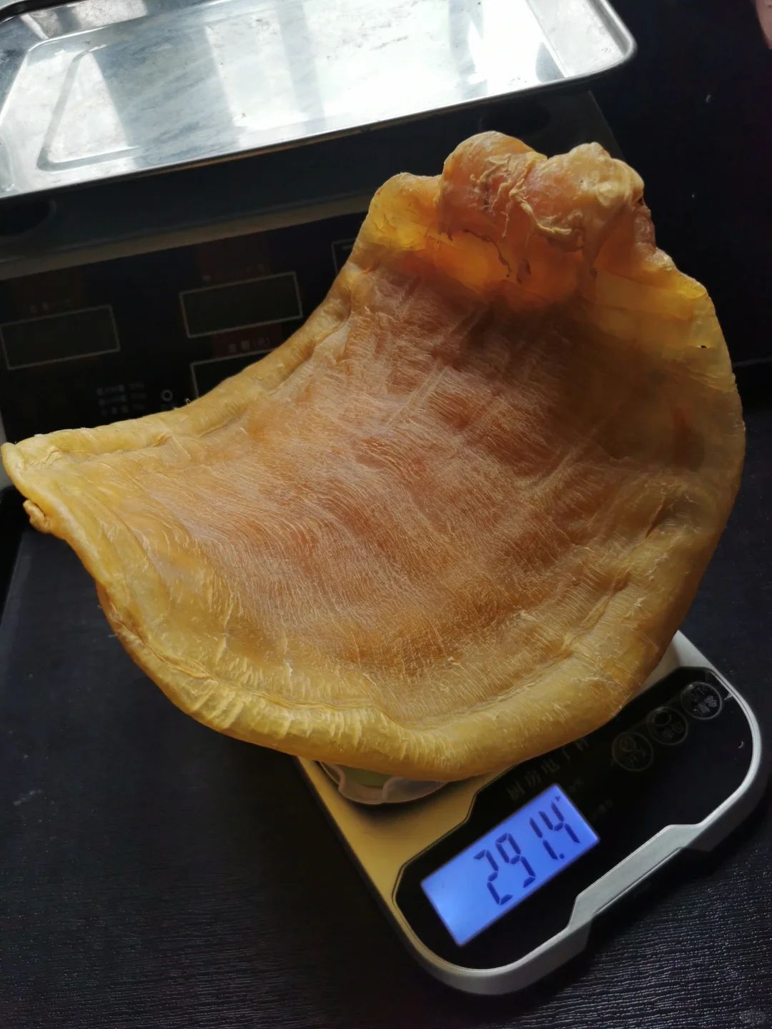 花膠厚薄與膠身示意圖