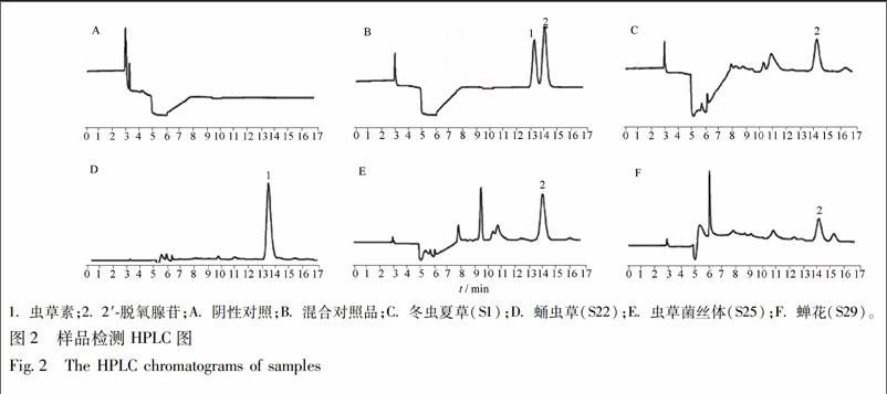 實驗室中進行HPLC或DNA條形碼分析的儀器特寫，強調科學驗證