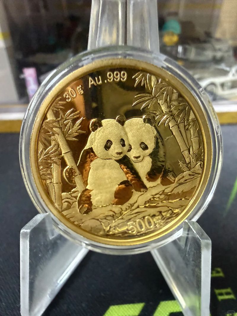 保護盒內的熊貓金幣熊貓面，可見 30 g、Au .999 及 500 元字樣