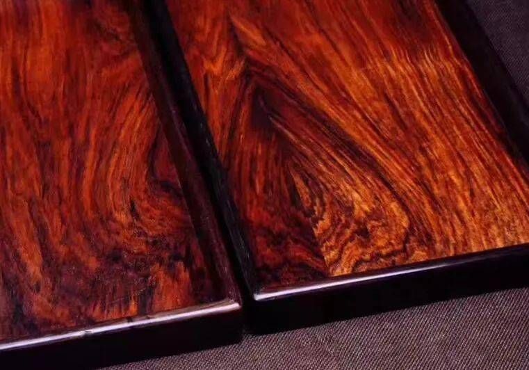 微距下顯示交趾黃檀特有的深色條紋和氣孔結構，用於鑑別