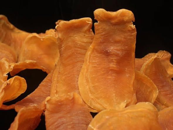 台山赤嘴或紅雞赤嘴特寫