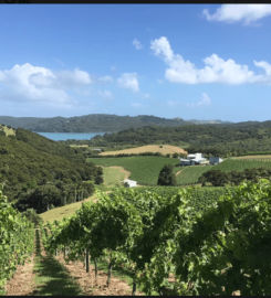 Waiheke Custom Wine Tours