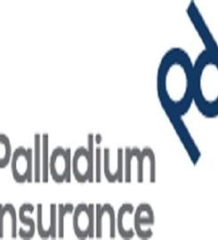Palladium Insurance