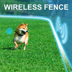 UpDogFence