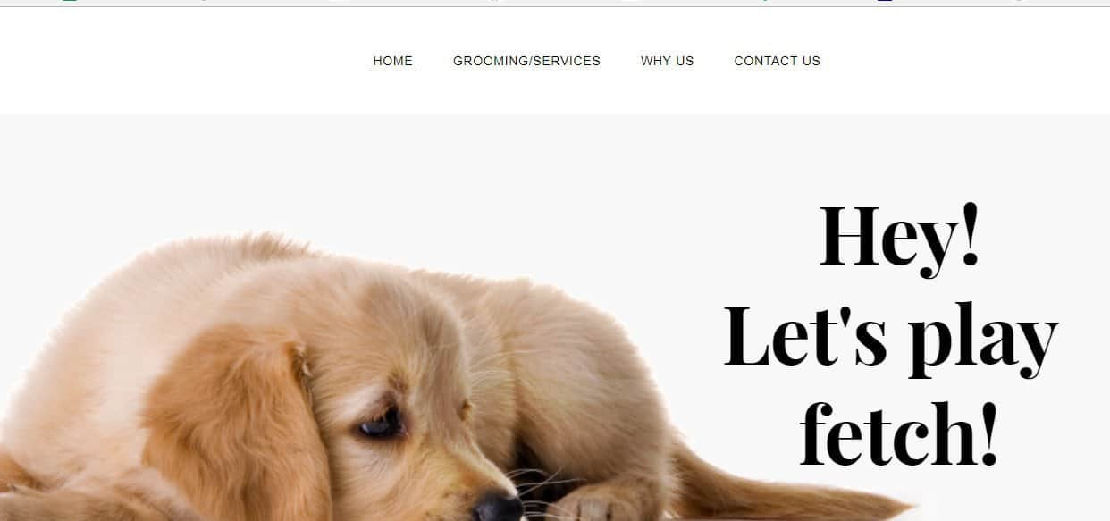 Wash N Roll Mobile Pet Grooming