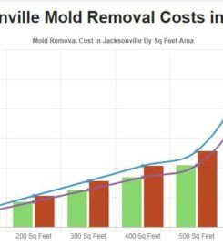 All US Mold Removal Jacksonville FL – Mold Remediation Serv &hellip;