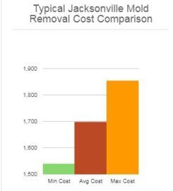 All US Mold Removal Jacksonville FL – Mold Remediation Serv &hellip;