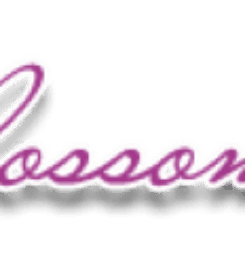 Lotus Blossom Massage