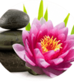 Lotus Blossom Massage