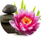 Lotus Blossom Massage