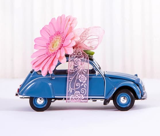 Breast Cancer Car Donations Mountain View