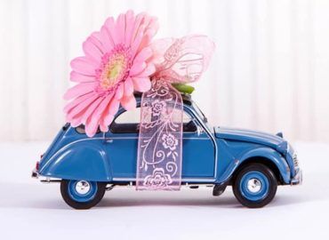 Breast Cancer Car Donations Phoenix, AZ