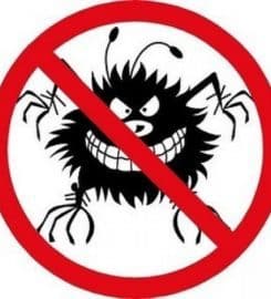 OCP Bed Bug Exterminator Denver CO – Bed Bug Removal