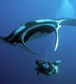 Oceanic Dive Center