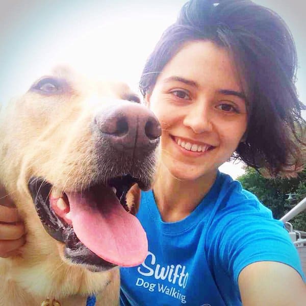 Swifto Dog Walking