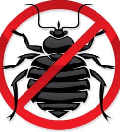 OCP Bed Bug Exterminator Detroit MI – Bed Bug Removal