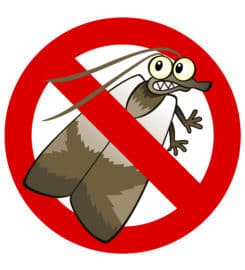 OCP Bed Bug Exterminator Detroit MI – Bed Bug Removal