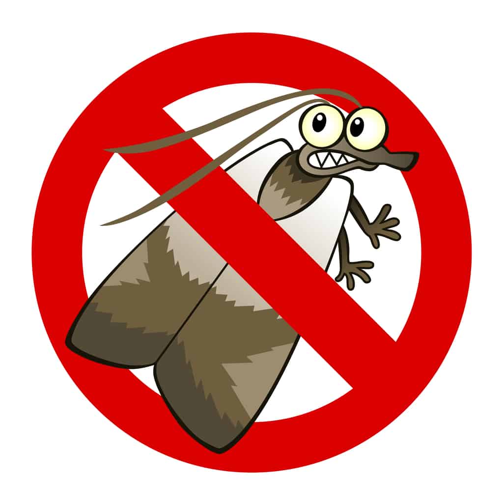 OCP Bed Bug Exterminator Detroit MI – Bed Bug Removal