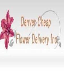 Same Day Flower Delivery Denver CO – Send Flowers